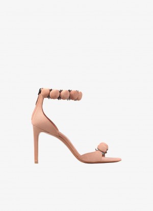 Blush Women's Alaia Bombe Sandals Australia | T8Y-2817